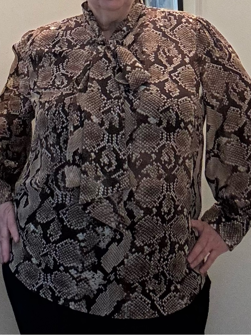 Altuzarra Brown Snake-Print Blouse